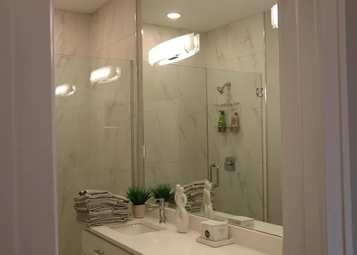 Exquisite Haven 2bed 2bath Near Downtown And United Center Appartement Chicago