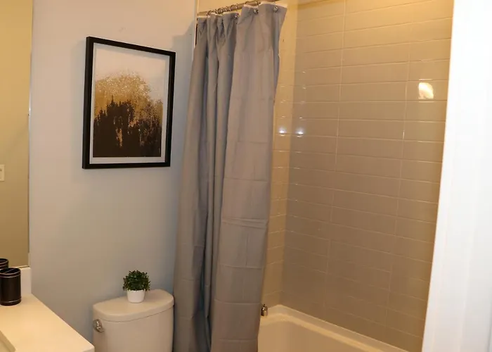 Exquisite Haven 2bed 2bath Near Downtown And United Center Appartement