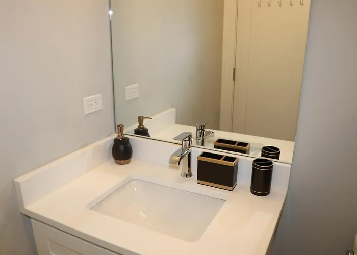 Exquisite Haven 2bed 2bath Near Downtown And United Center * Chicago